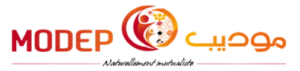 modep-fotor-bg-remover-20230907133111-300x71